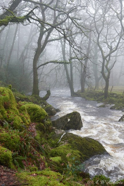 Obituary of Kenneth Adrian Ziel, Jr.