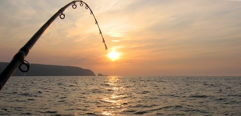 Obituary of Harry Stephens