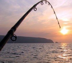 Obituary of Harry Stephens