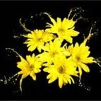 Obituary of Shirley G. Jacobs