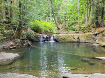 Obituario de Wenche Karin Ege