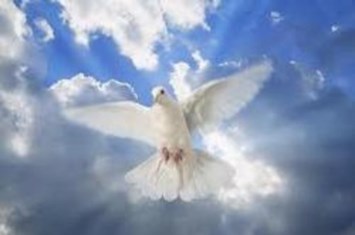 Obituary of Caleb Kelley REVISED