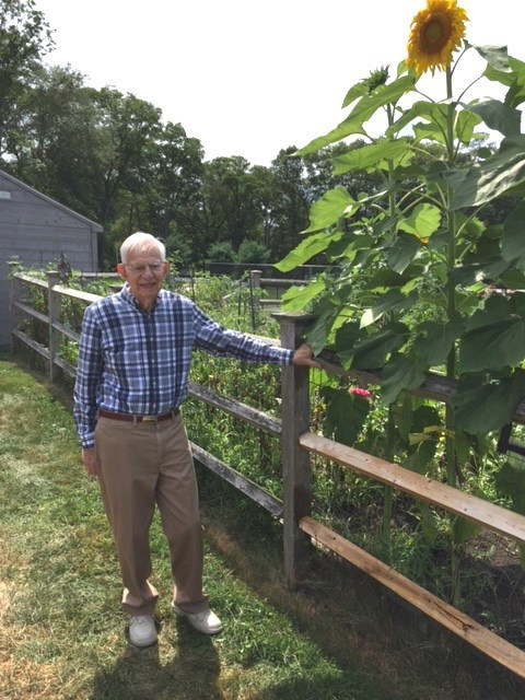 Obituary of Morton Wolf