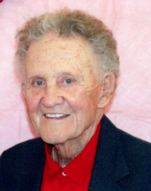 Obituary of Edward Ladis Novak, EdD