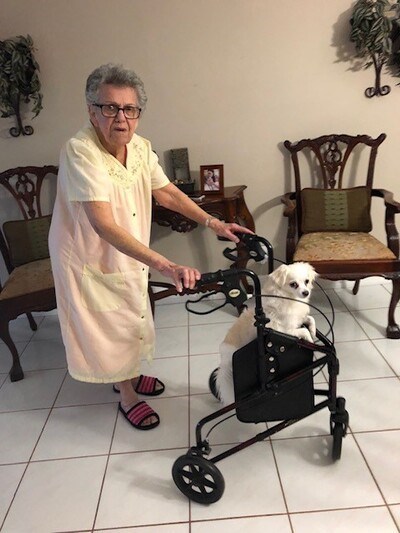 Obituary of Elsa Benitez