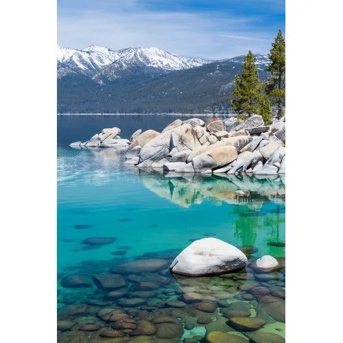 Obituary of David Philip Brusseau