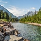 Obituary of Michael Francis Counihan