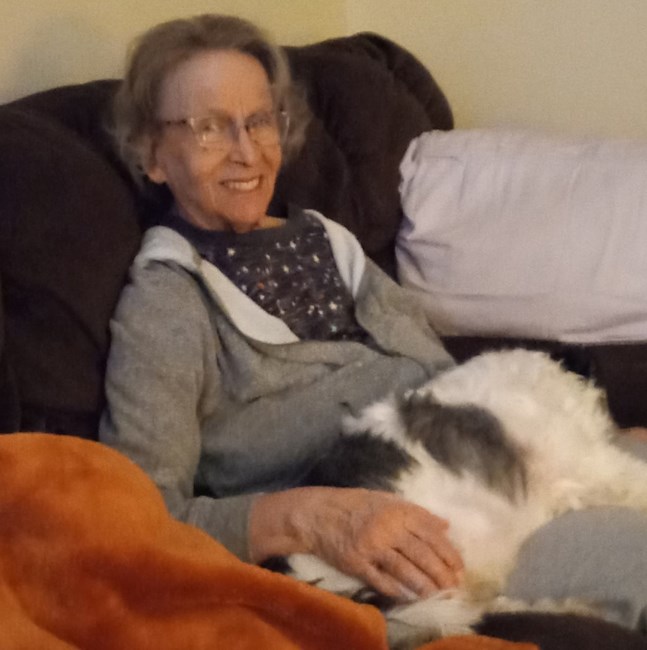 Obituary of Lynn Ann Kennedy