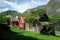 Obituary of Lynda Brock