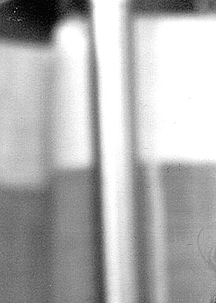 Lucille Friedson Obituary - Miami, FL