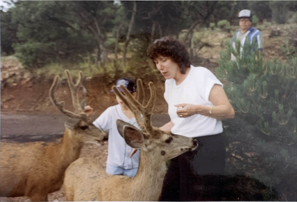 Obituary of Mrs. Judy Theresa Salomone