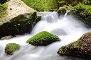 Obituary of Stephen Dwight Quisenberry