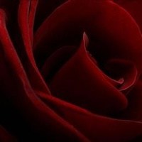 Obituary of Robert J. Revis