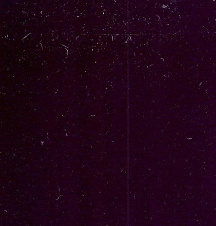 Laura Koenig Obituary - New Braunfels, TX