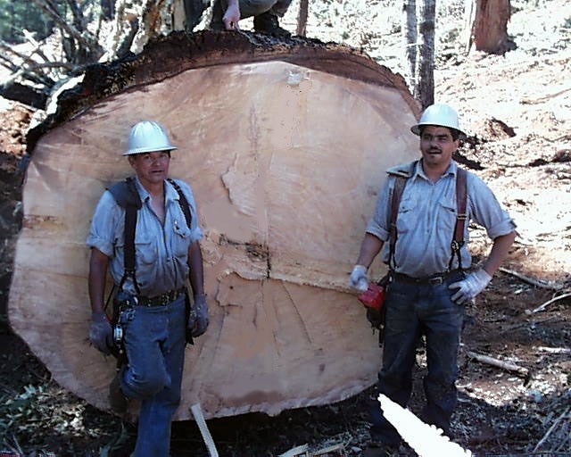 Eugene Young Obituary