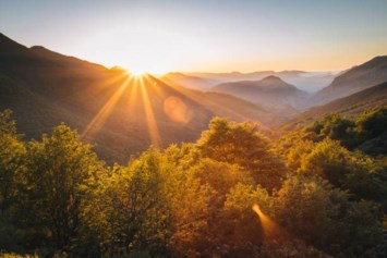 Obituary of James Scott Spickard