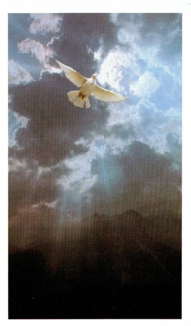 Obituary of Rigoberto Navarro