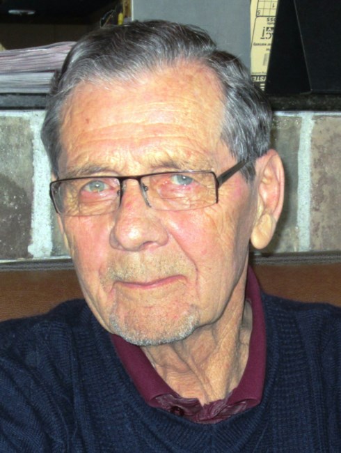 Obituary of Albert Loewen