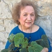 Obituary of Connie Saenz