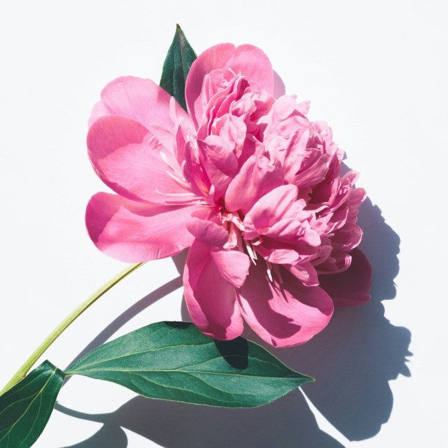 Obituario de Aurelia Martinez