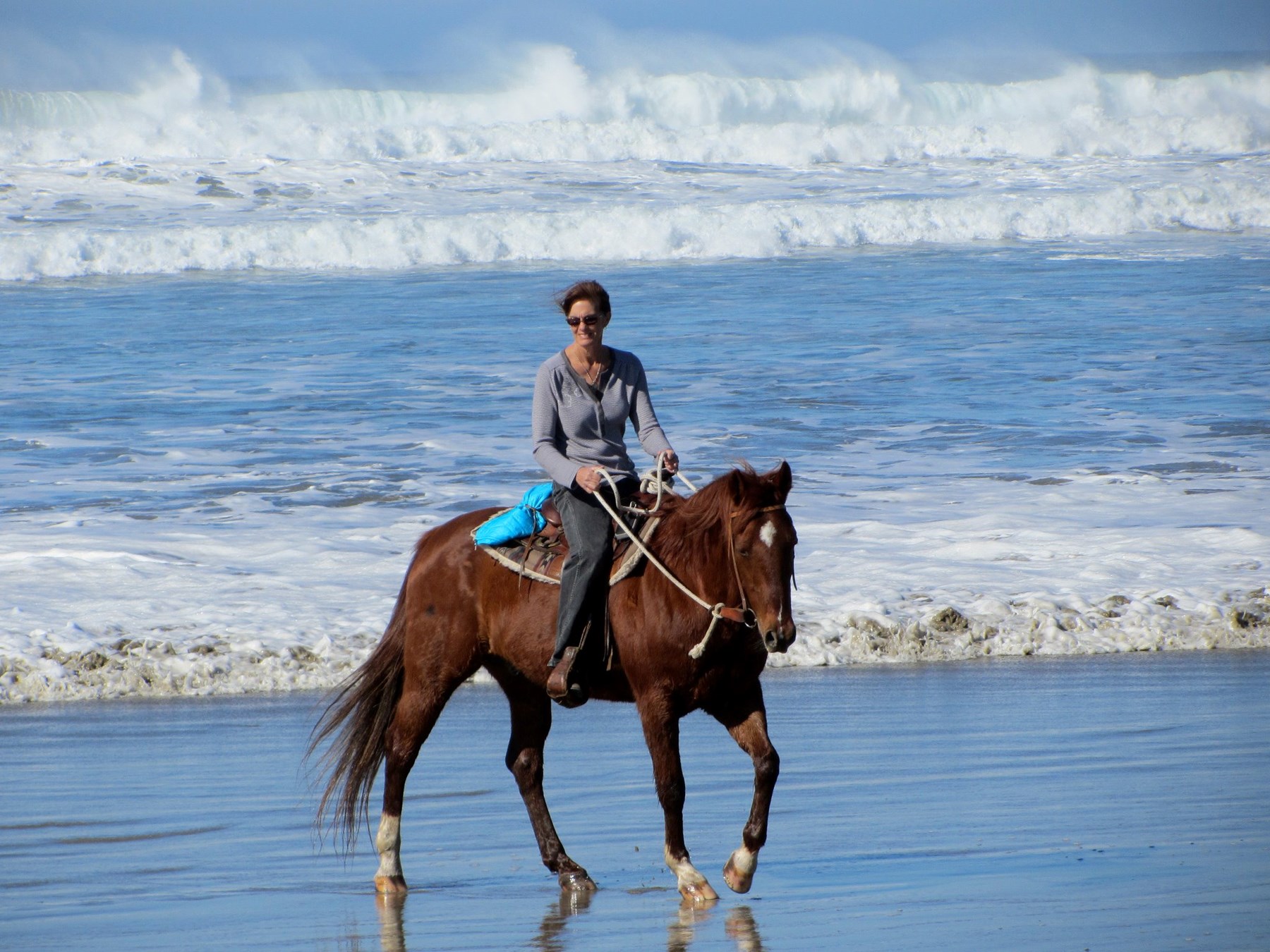 Obituary of Diana Sorensen