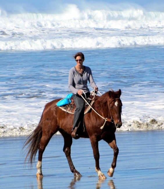 Obituary of Diana Sorensen