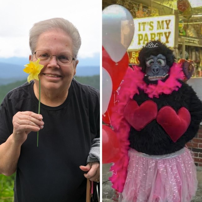 Obituary of Judy Yates Nelms