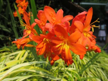 Obituary of Cary Douglas Kyser