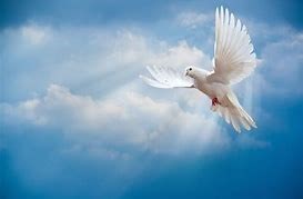 Obituary of Dorothy Nell Burton