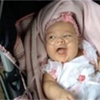 Obituary of Lily Eddlemon