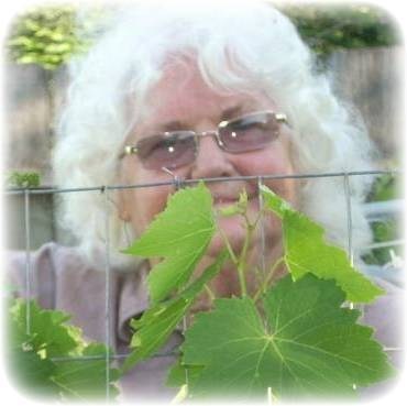 Obituary of Virginia Lee Inman