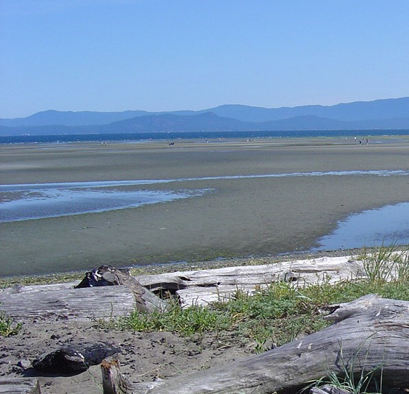 Obituary of Hans-Joachim Karl METZNER