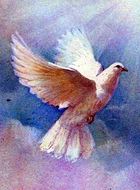 Obituary of Betty Ann Alewine