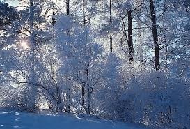 Obituary of Betty L Field Orr