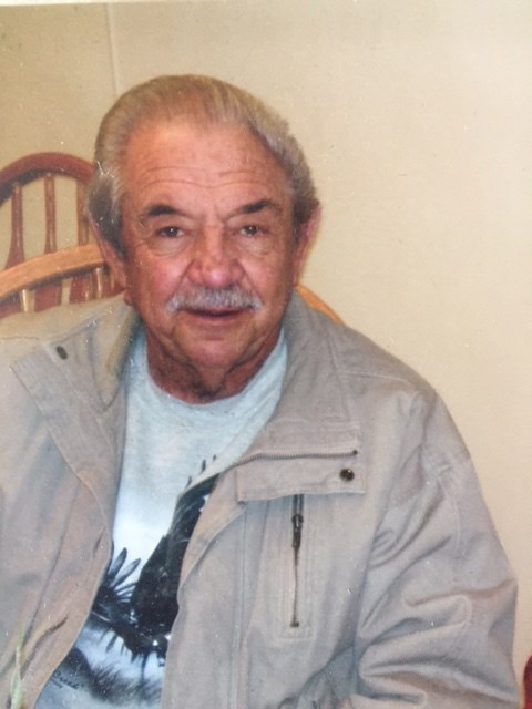 Obituary of Domenic Elari Jr.