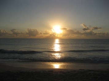 Obituary of Edith Witewski