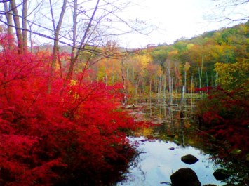 Obituary of Richard Allen Fagan