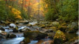 Obituary of William Francis Hughes