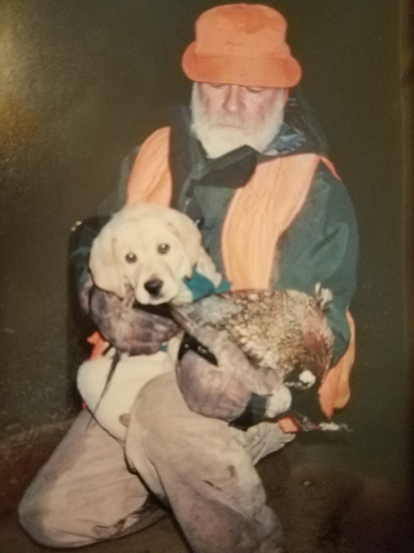 Obituary of John M. McGeoghegan