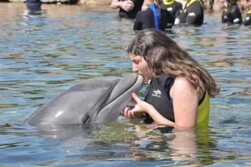 Obituary of Katie Lynn Steffens