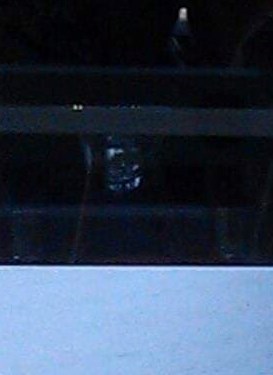 Paul McCracken Obituary Hickory, NC