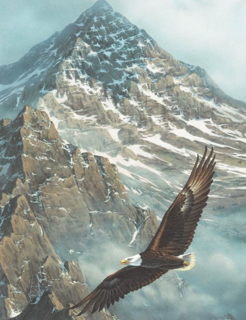 Obituary of Michael Mike Keith Markham