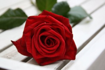 Obituary of Blanche Pyatt