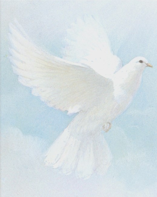 Obituary of Oscar Gerena