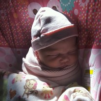 Obituary of McKenzie Lynn Hildebrandt