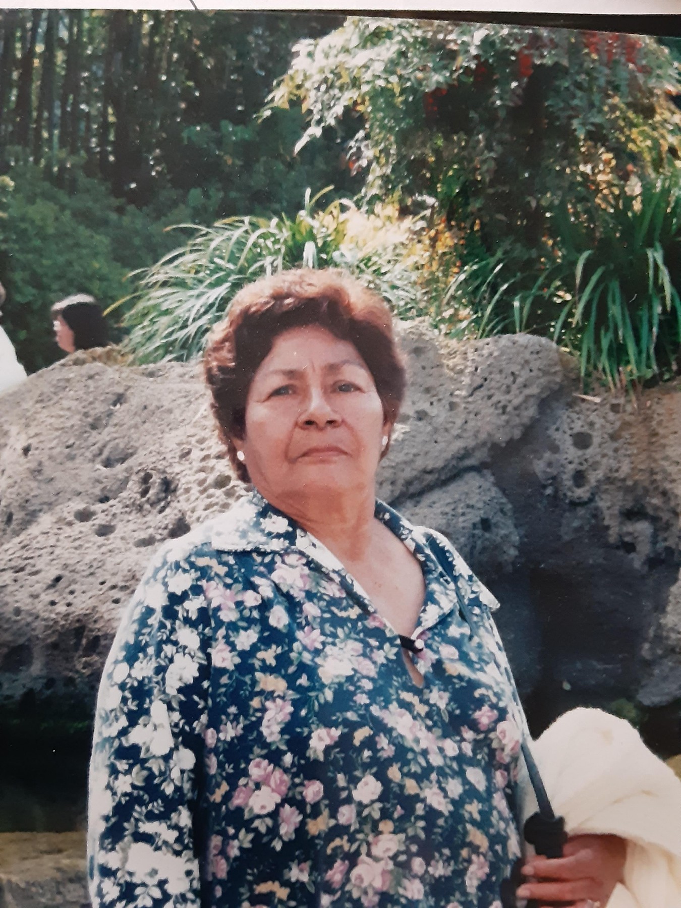 Obituary of Sara Napoles