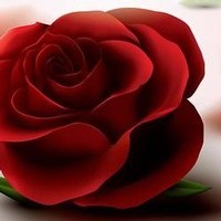 Obituary of Maria Mata De Reynoso