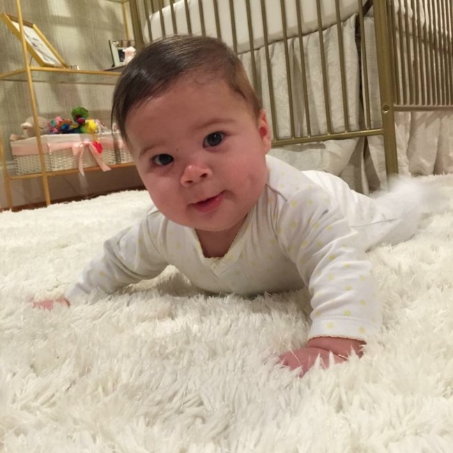 Obituary of Dylan Rose Dorchak