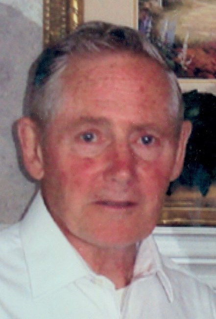 Obituary of Raymond S. Udris