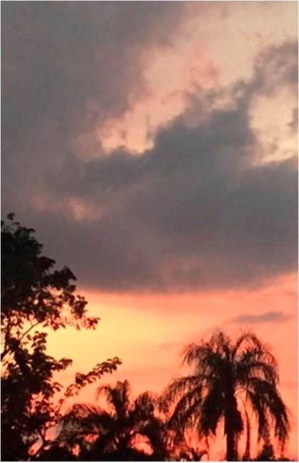 Obituary of Joyce Leola Callahan